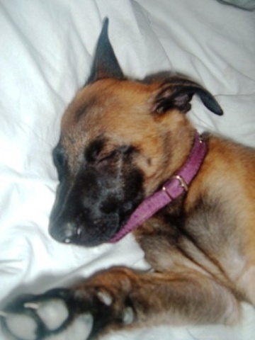 DSCF0156.JPG