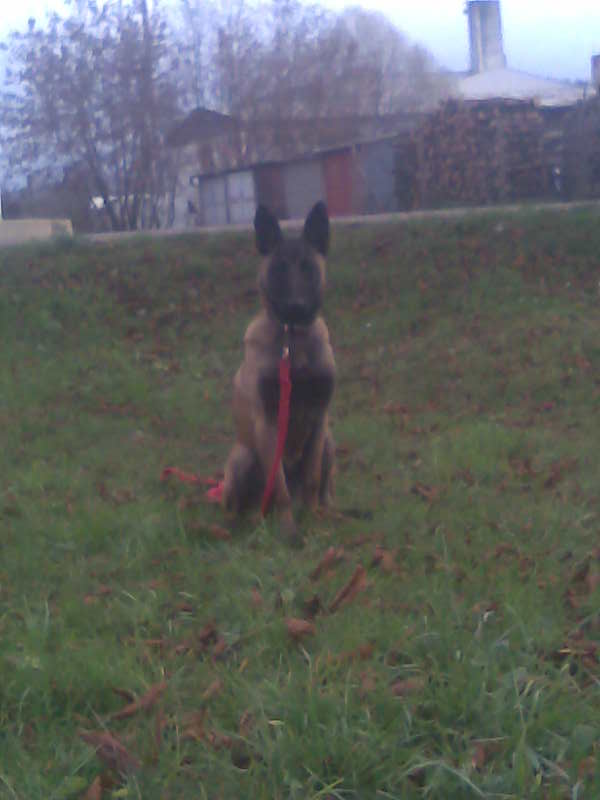 Obraz011.jpg