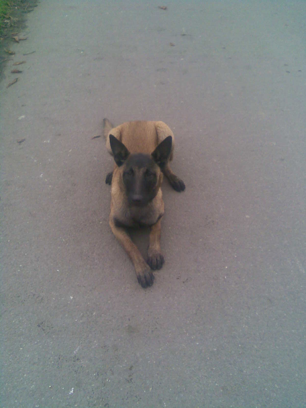 Obraz017.jpg