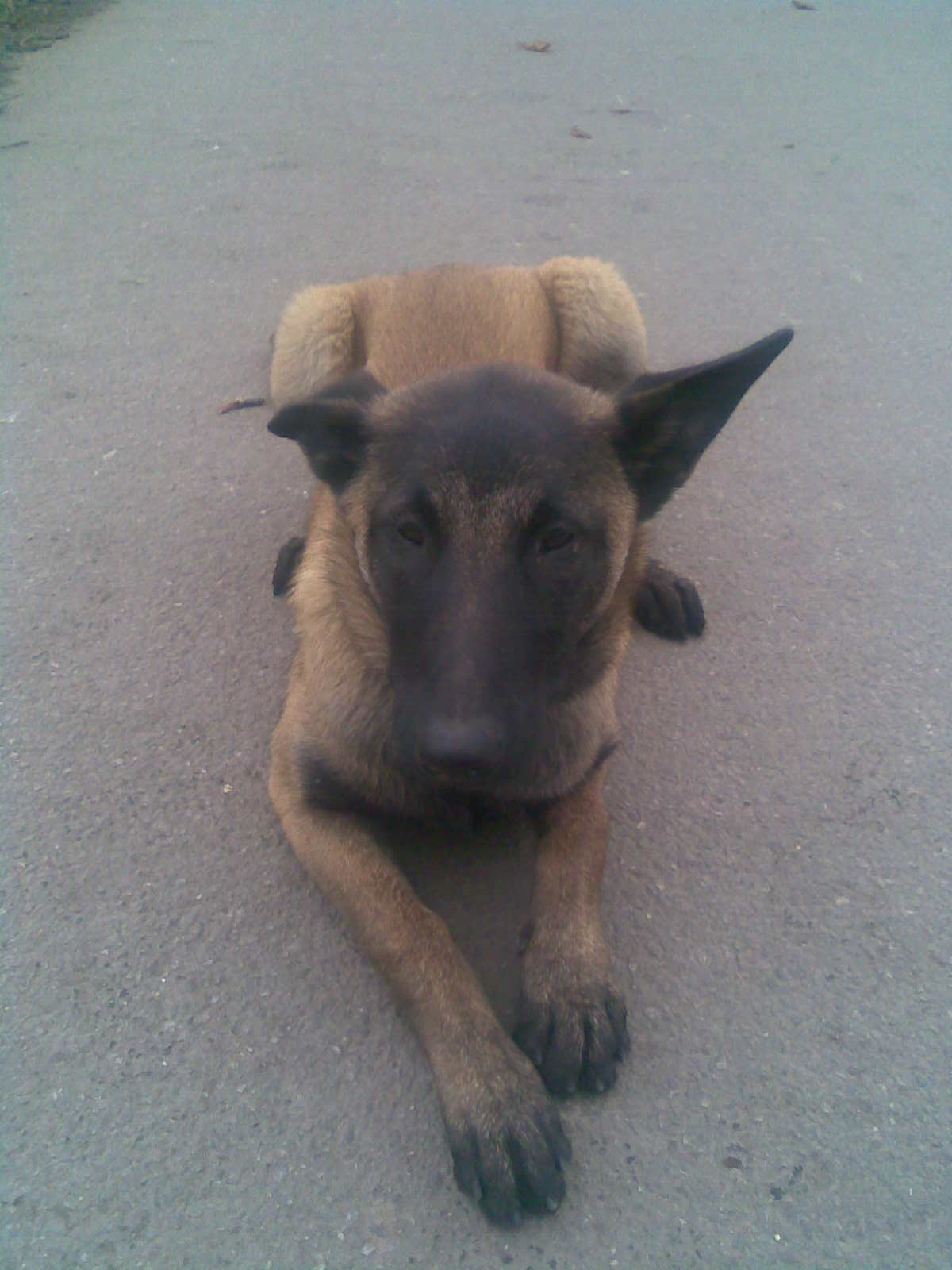 Obraz018.jpg