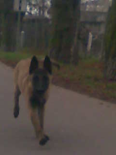 Obraz020.jpg
