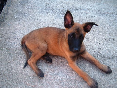 DSCF0165.JPG