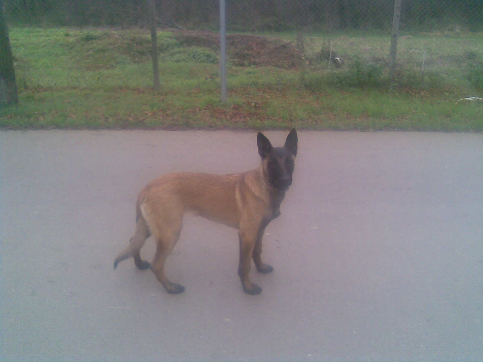 Obraz010.jpg