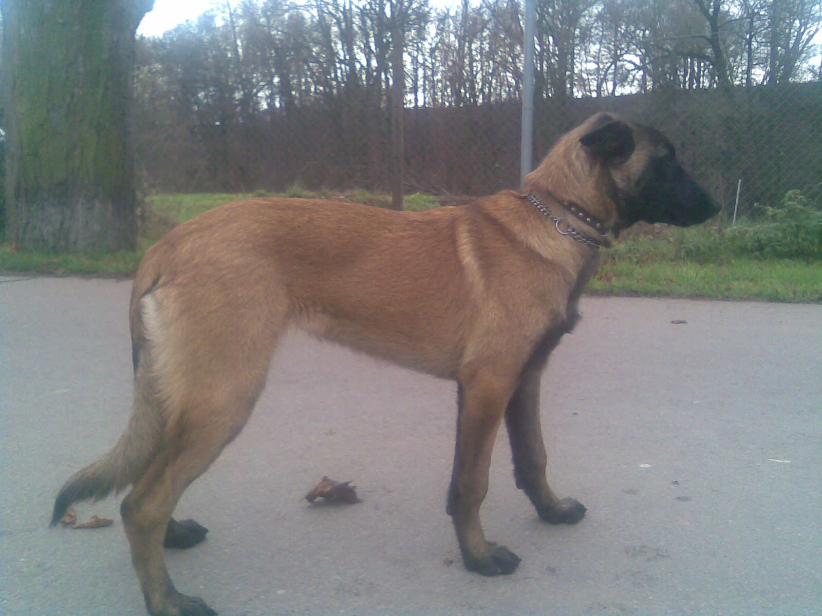 Obraz016.jpg