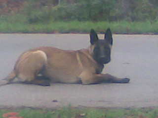 Obraz019.jpg