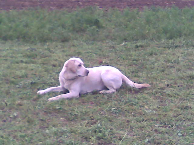Obraz027.jpg