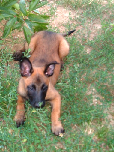 DSCF0177.JPG