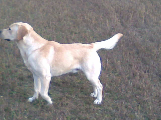 Obraz065.jpg
