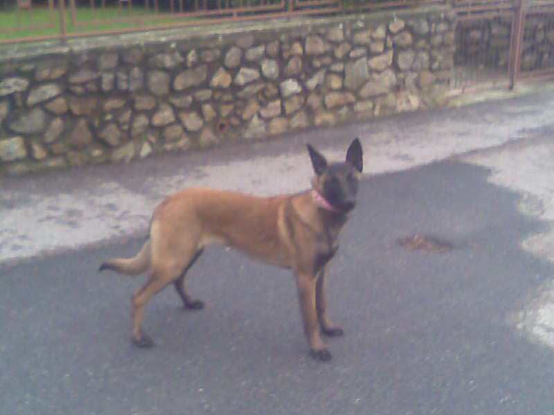 Obraz044.jpg