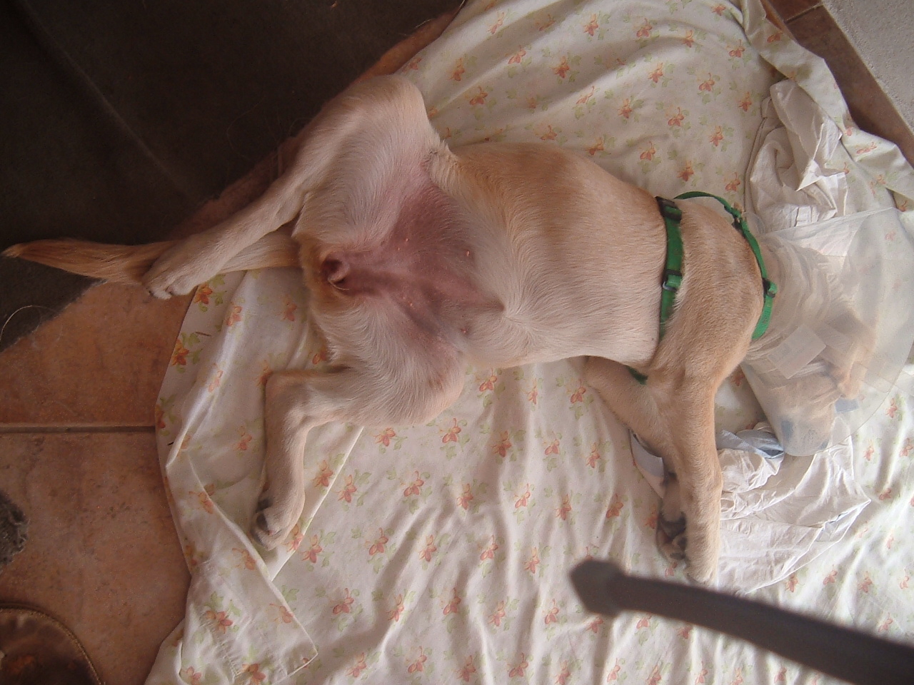 DSCF0855.JPG