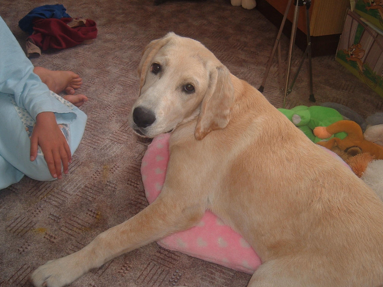 DSCF1115.JPG