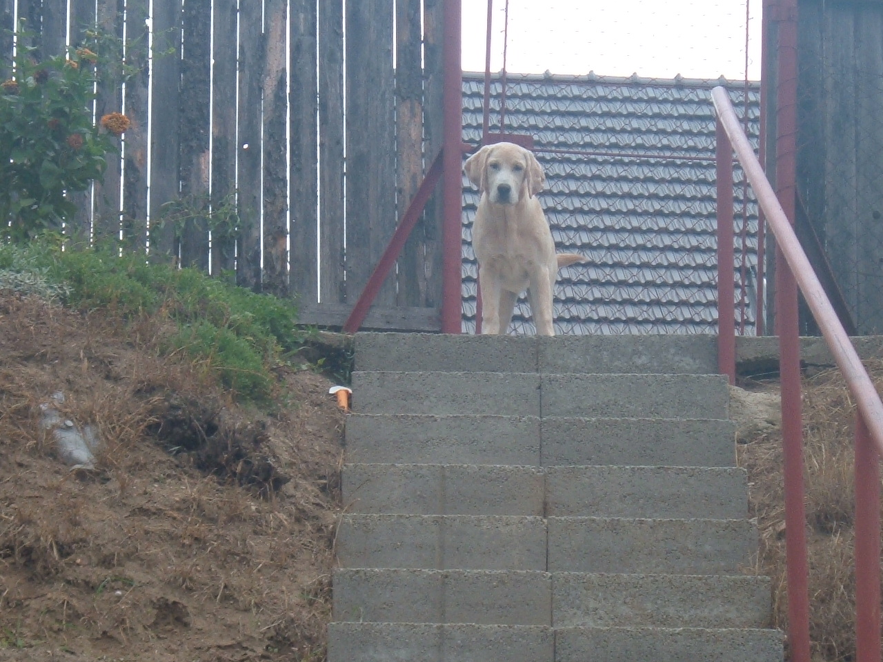 DSCF1120.JPG