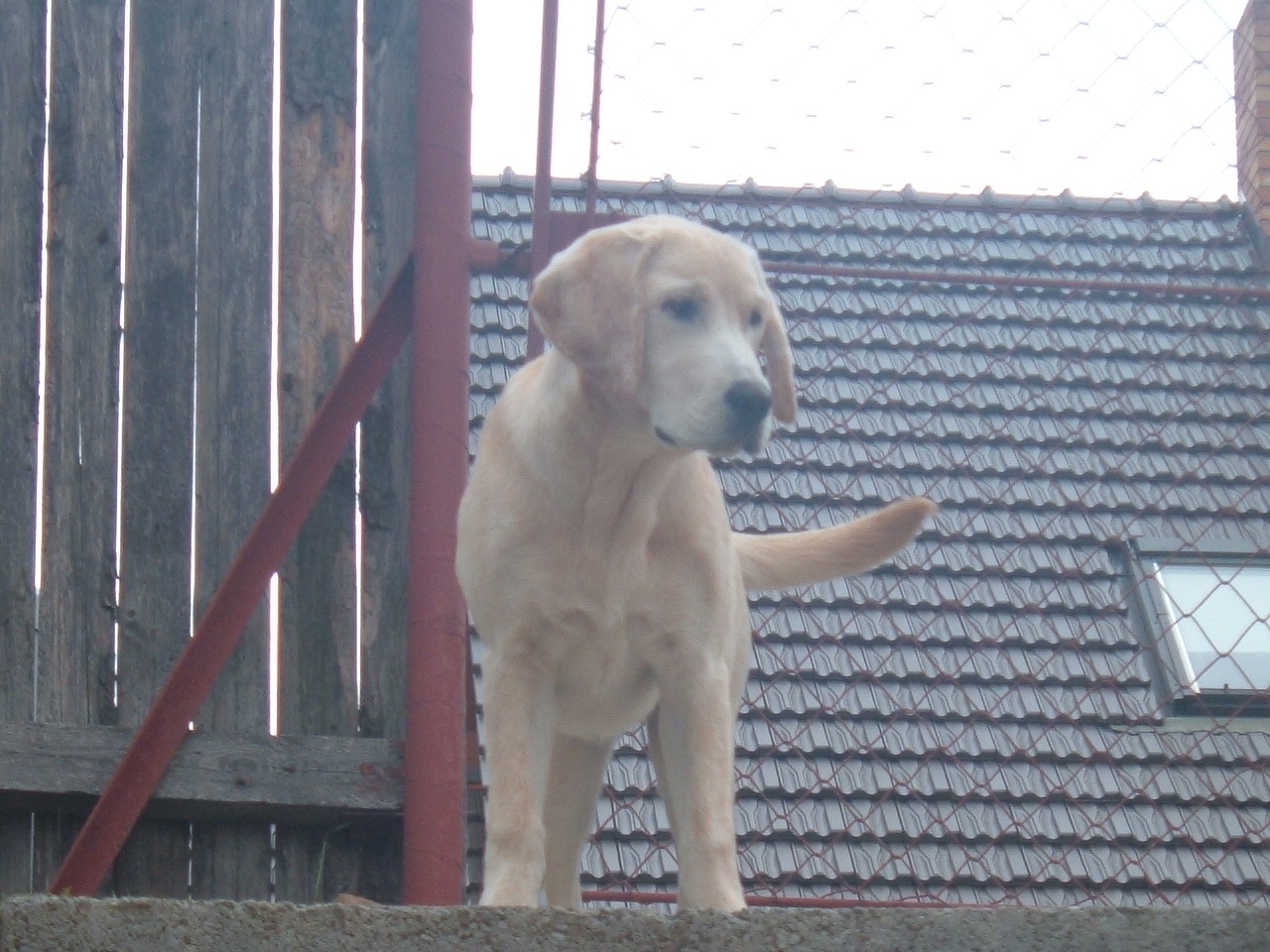 DSCF1121.JPG