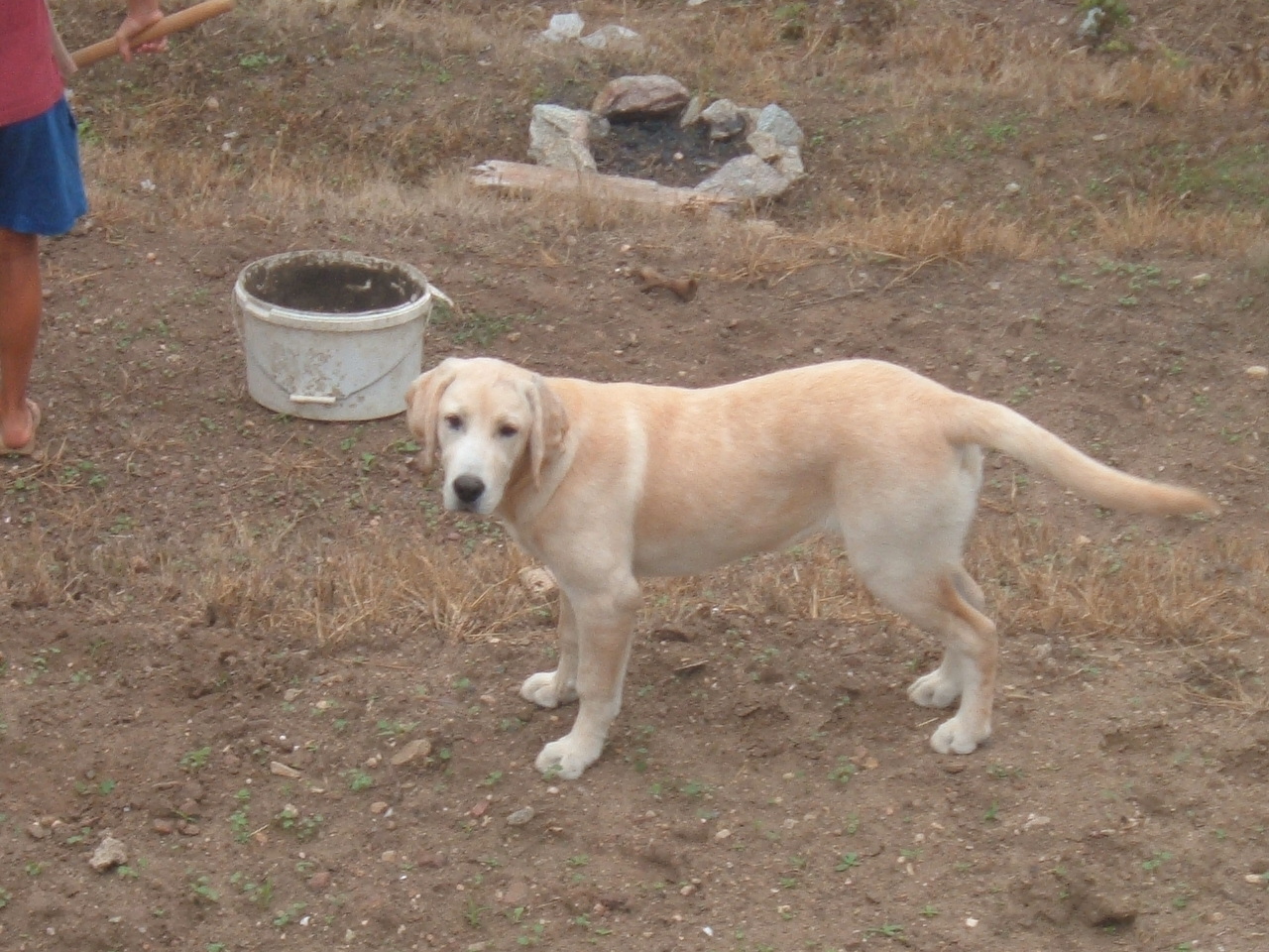 DSCF1124.JPG
