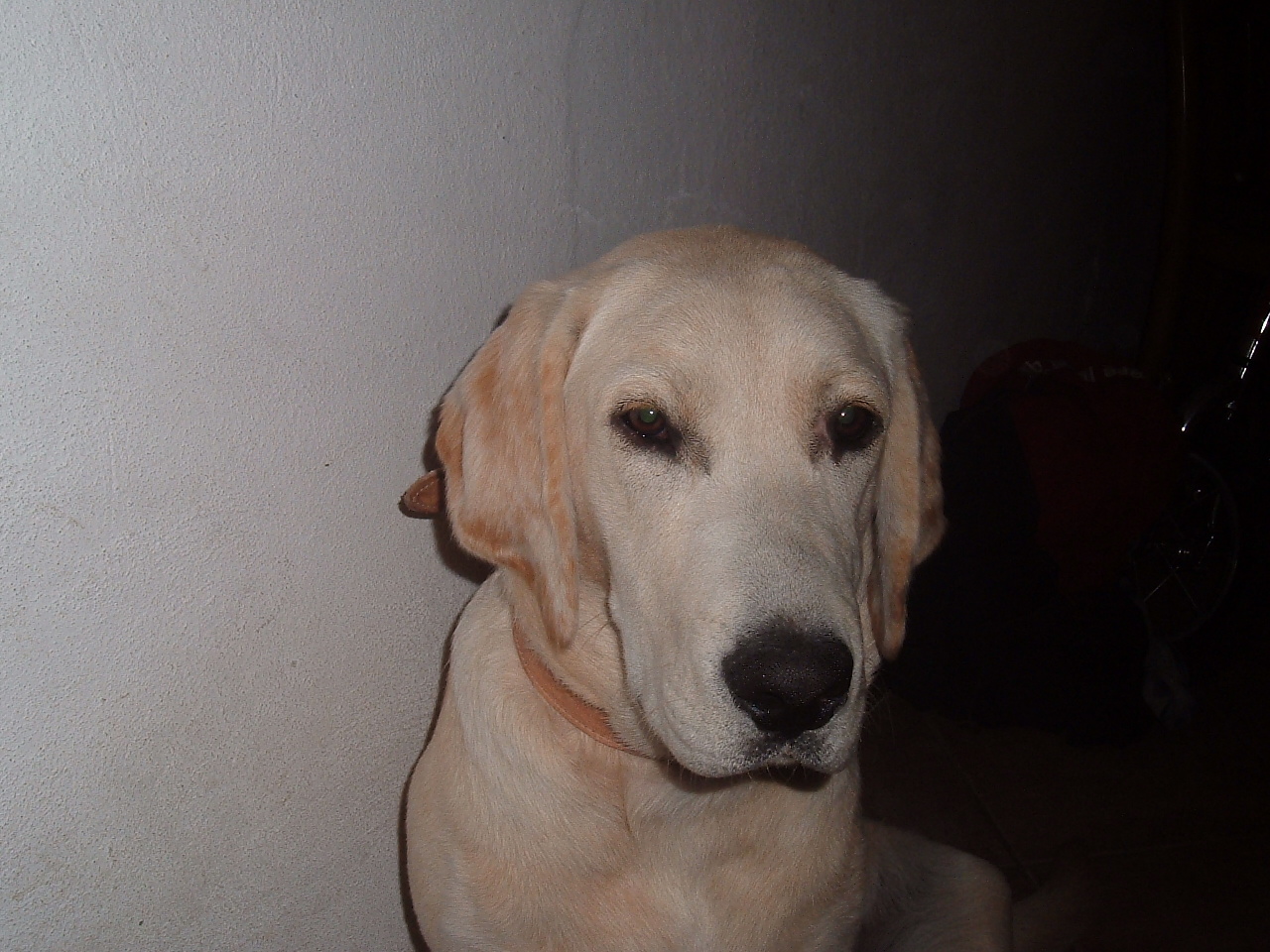 Snímek 003.jpg