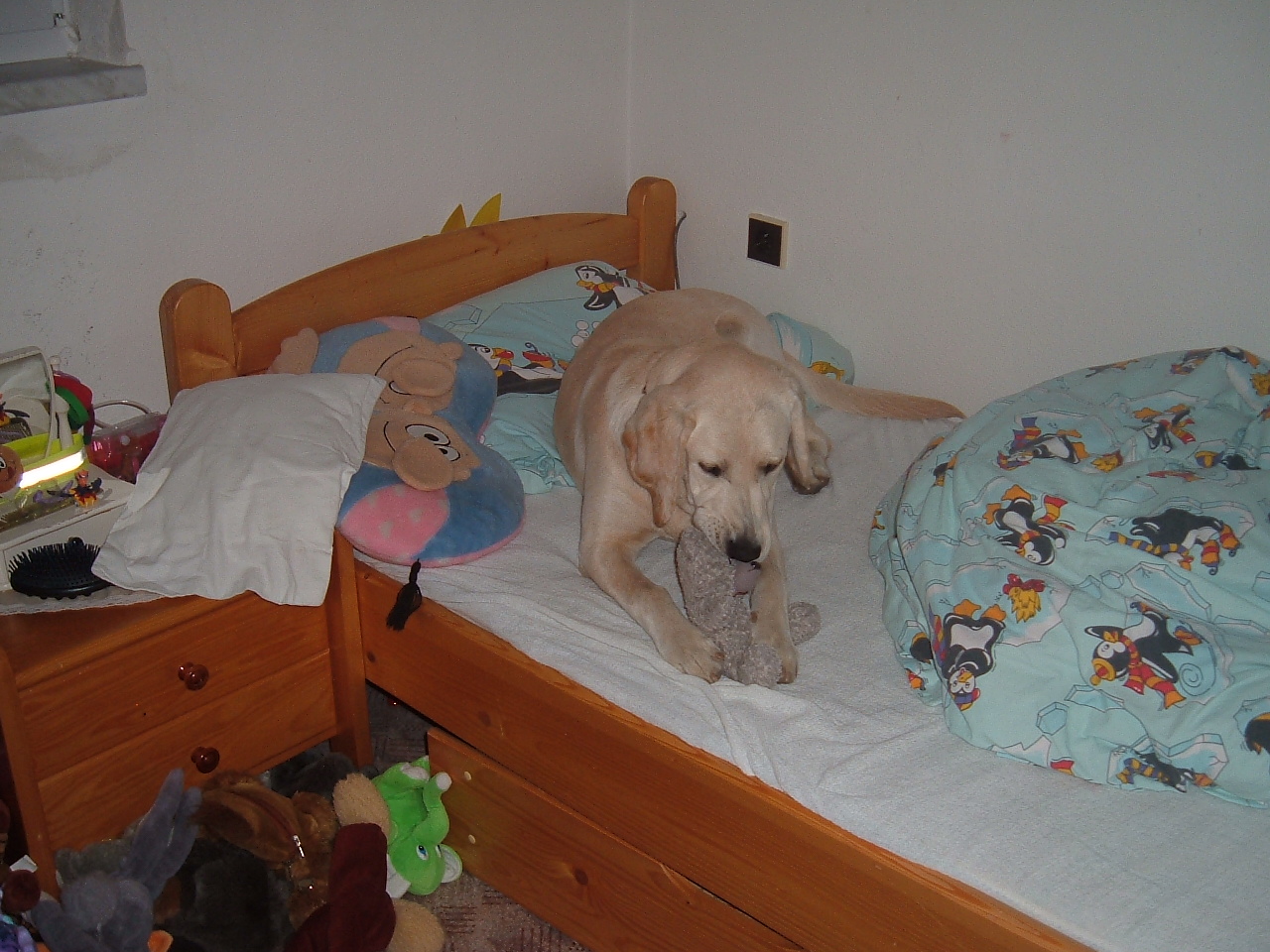Snímek 004.jpg