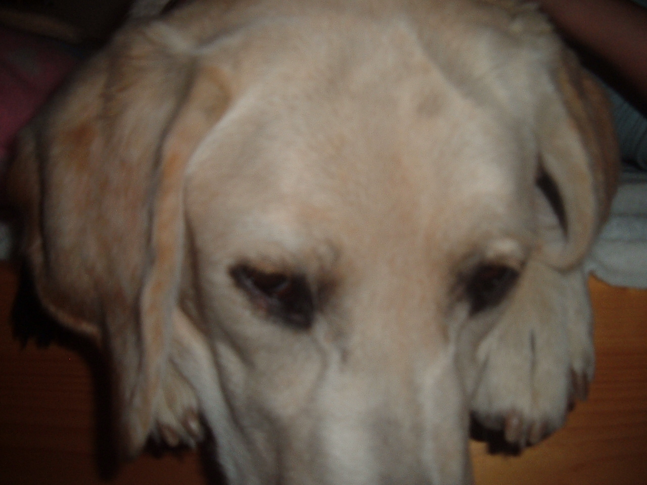 Snímek 008.jpg
