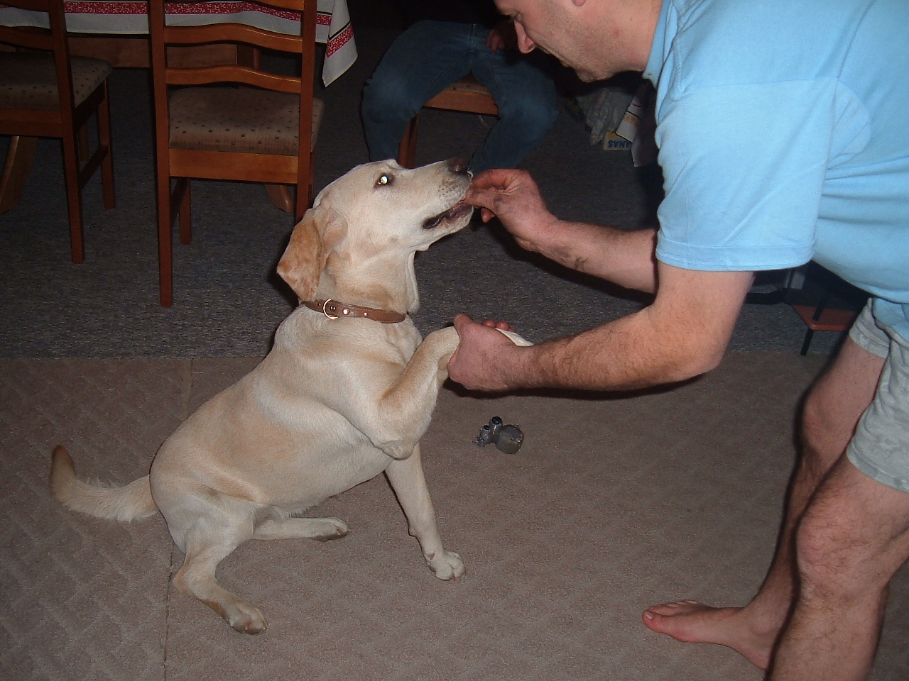 Snímek 032.jpg