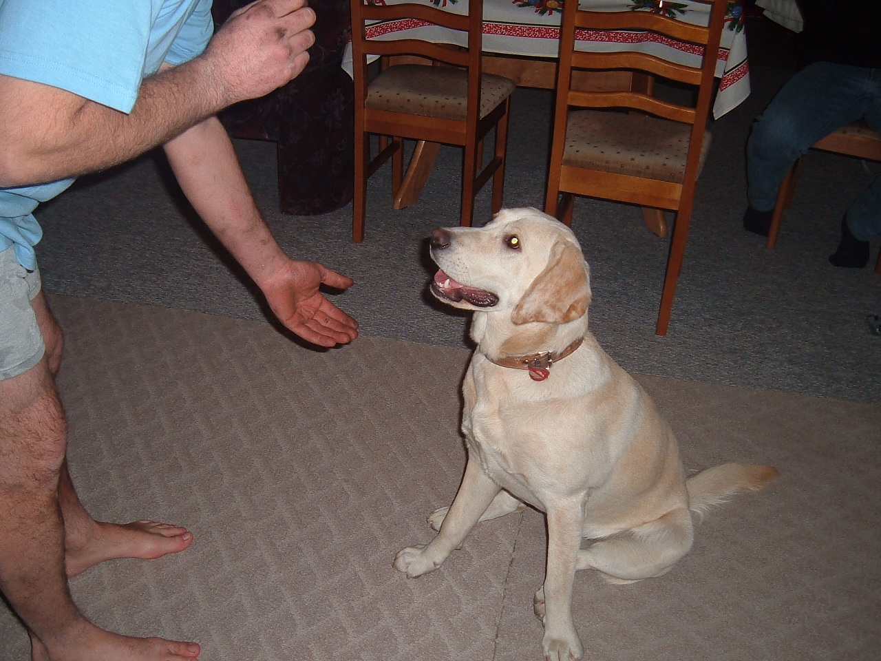 Snímek 033.jpg