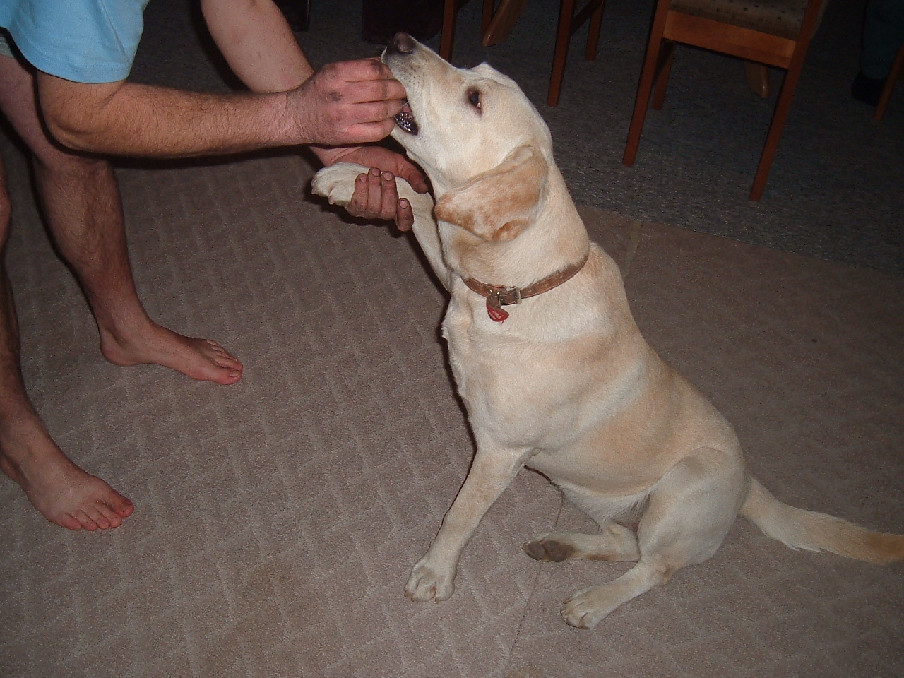 Snímek 034.jpg