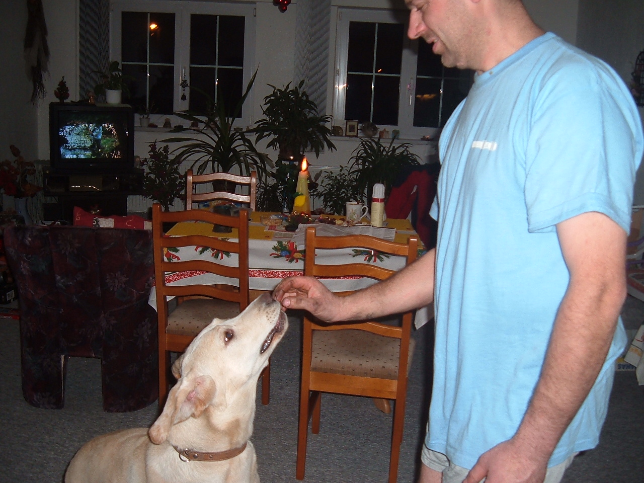 Snímek 036.jpg