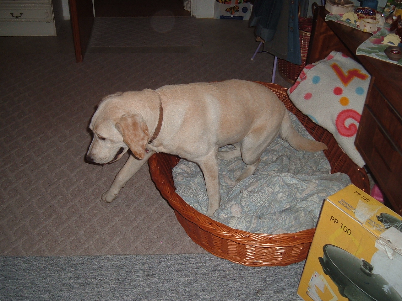 Snímek 040.jpg