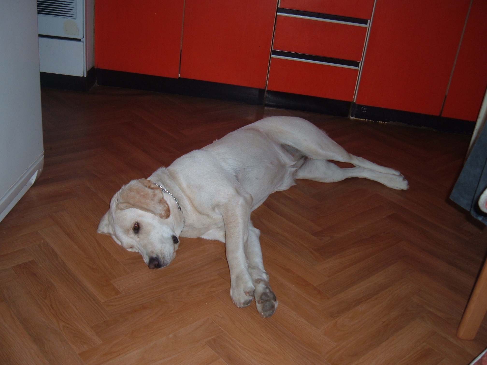 Snímek 049.jpg
